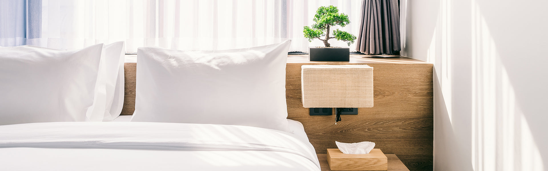 Mattress Protector & Comforter B1F1